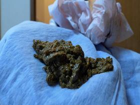 おならとうんこははなちゃんにまかせろ　サンプル画像11